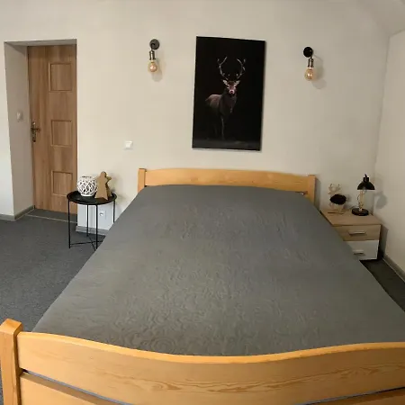 Accommodatie bij particulieren Noc W Gorach *